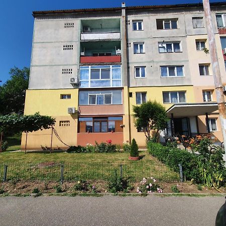 Guesthouse Mili Orşova Exteriér fotografie